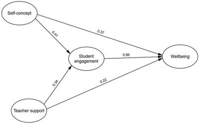 Psychological wellbeing in Chinese university students: insights into the influences of academic self-concept, teacher support, and student engagement